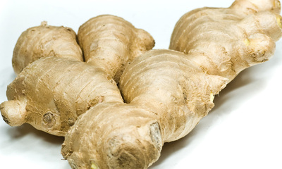 Ingver � zingiber officinale